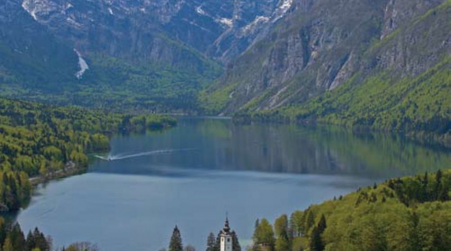 Ajurvedska medicina in terapija v Bohinju