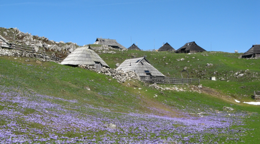 Kamnik – od hribov do term