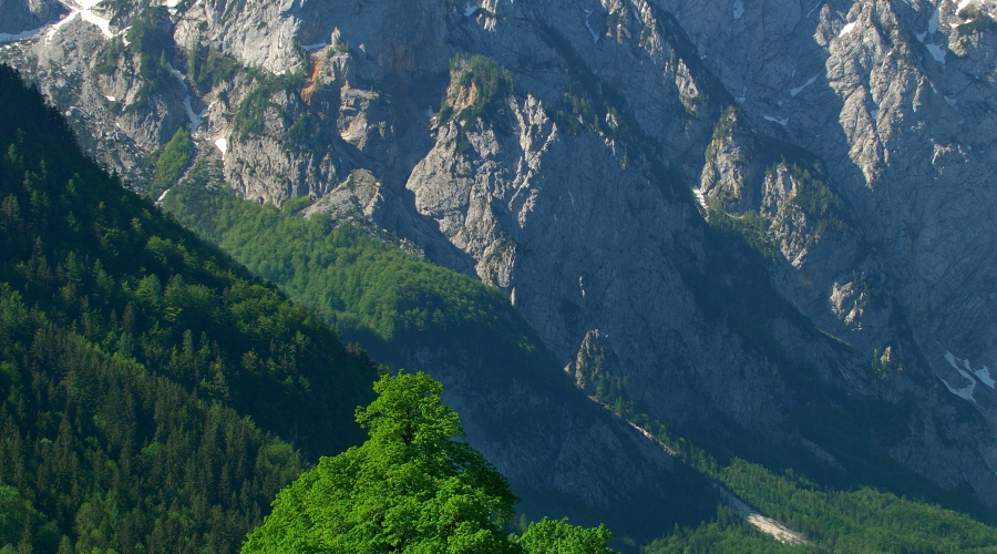 Logarska dolina, ena najlepših alpskih dolin v Evropi