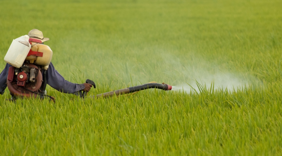 Taksa na pesticide