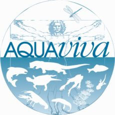 Aquaviva