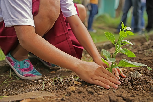 planting-1898946_640