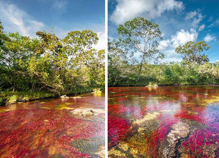 Caño_Cristales_01_astromario_web