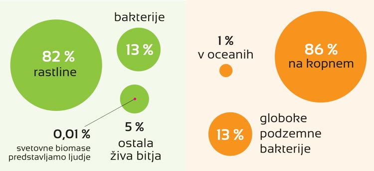 svetovna-infografika-1