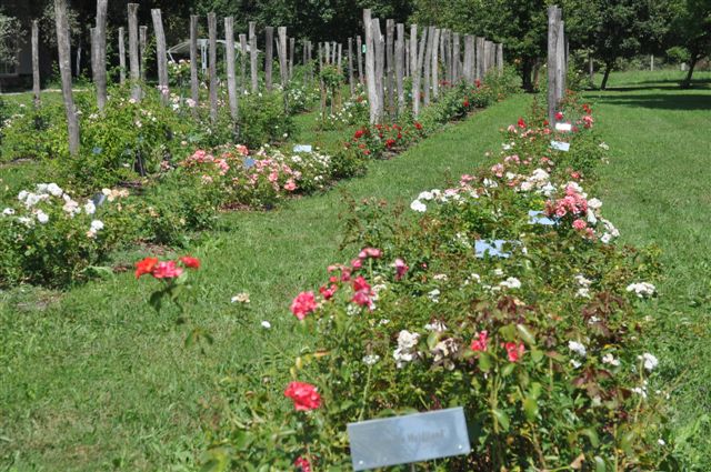 Rozarij Biotehniške fakultete v Ljubljani, smer Agronomija