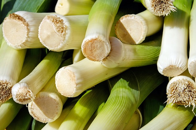 leek-2199563_640