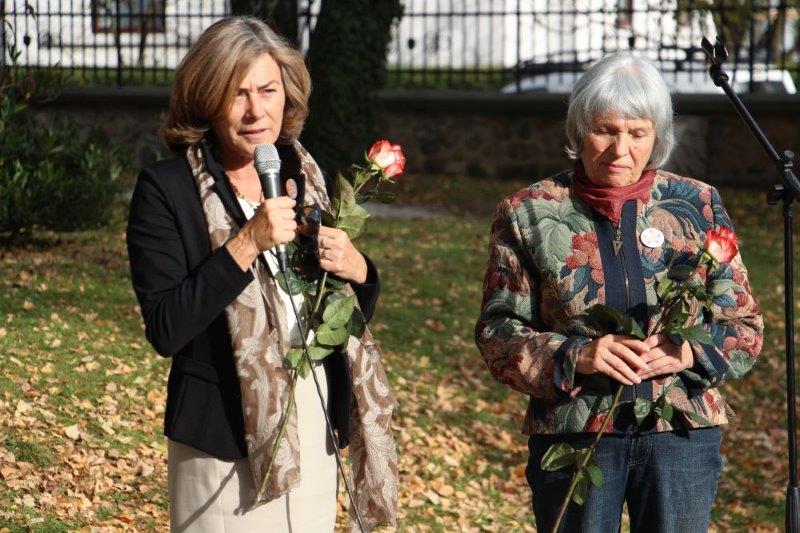 V Kranju domuje vrtnica 'Prešeren'