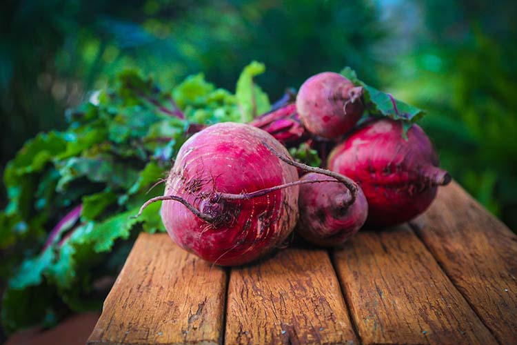 beetroot-687251_web