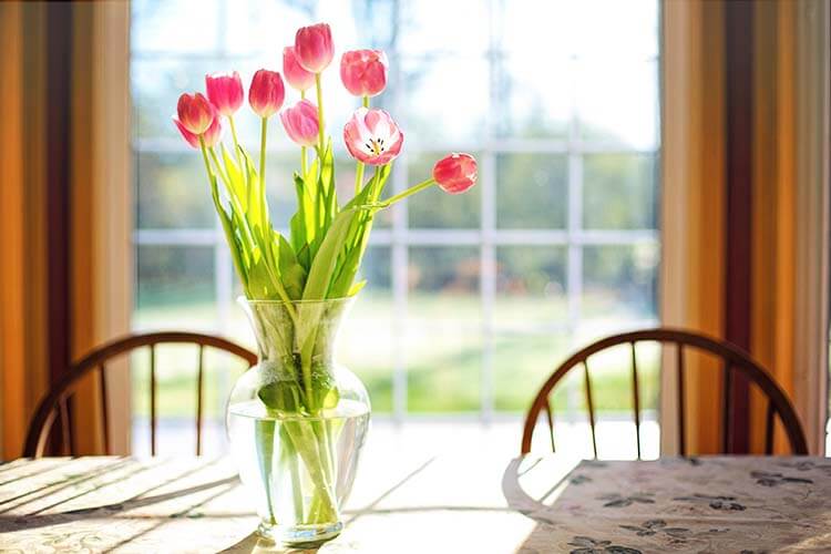 tulips-2239234_web