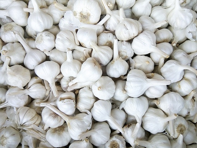 garlic-2929928_640