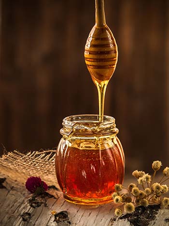 honey-1958464_web