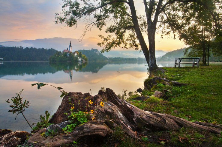 Hoskarji 2018: najboljši slovenski hostel je doma na Bledu