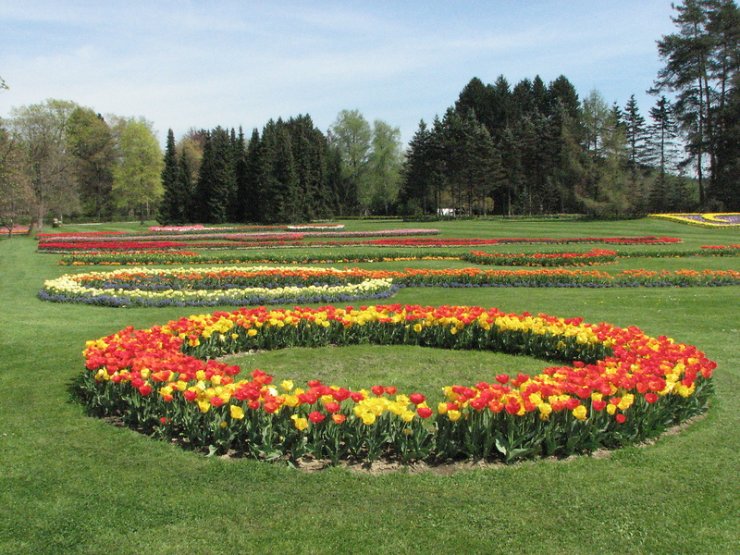 Čarobna simfonija v Arboretum Volčji potok