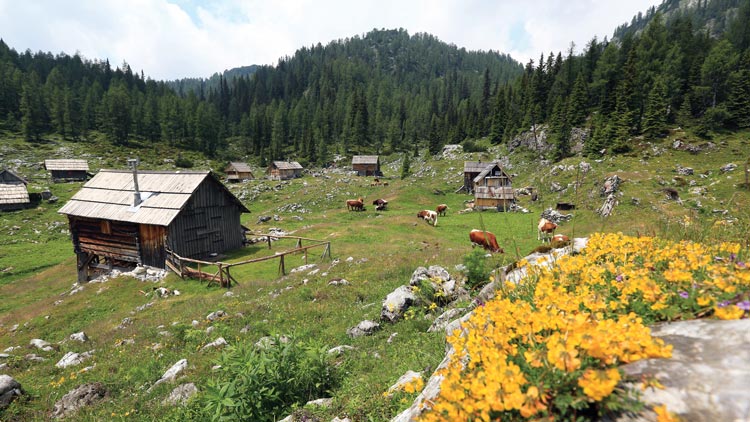 Prvomajske otroško-družinske delavnice v centru TNP Bohinj in začetek sezone v Trenti