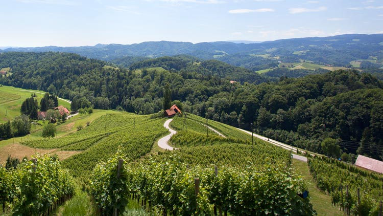 Pomladni Vinotour je pred vrati