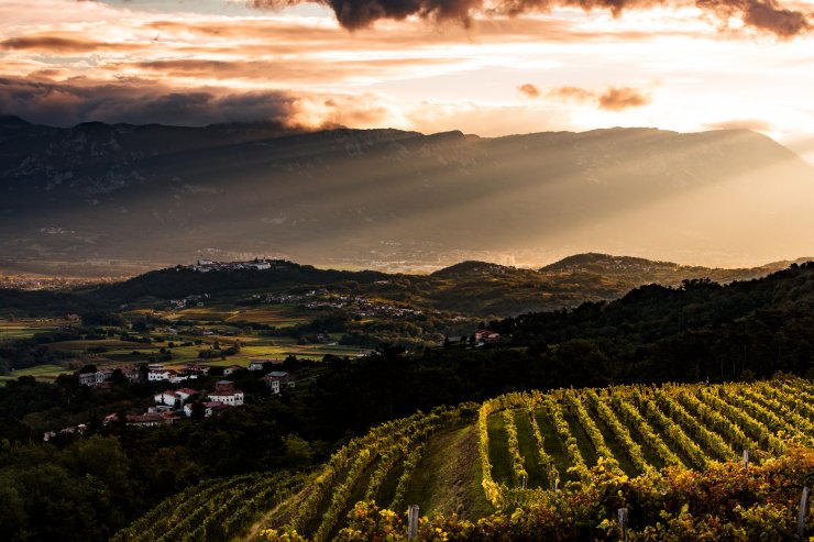 Kolesarski izlet med polji in vinogradi Vipavske doline