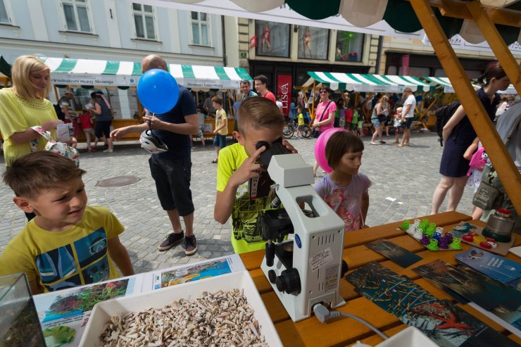 Začel se je Znanstival!