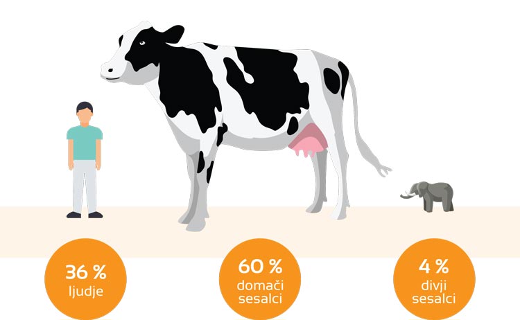 svetovna-infografika-2