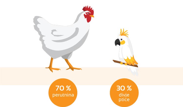 svetovna-infografika-3