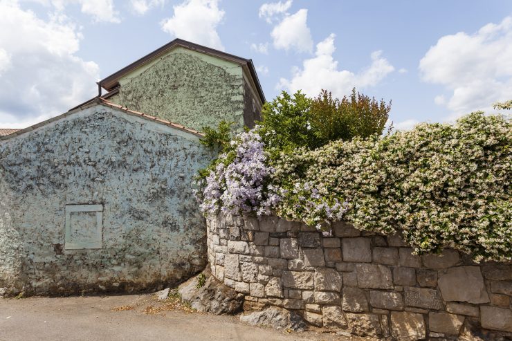 Pliskovica, arhiv TIC Sežana, foto Andrej Peunik