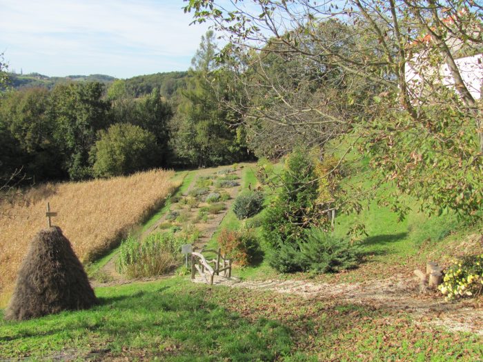 Zeliščni vrt - Grad Negova (1)