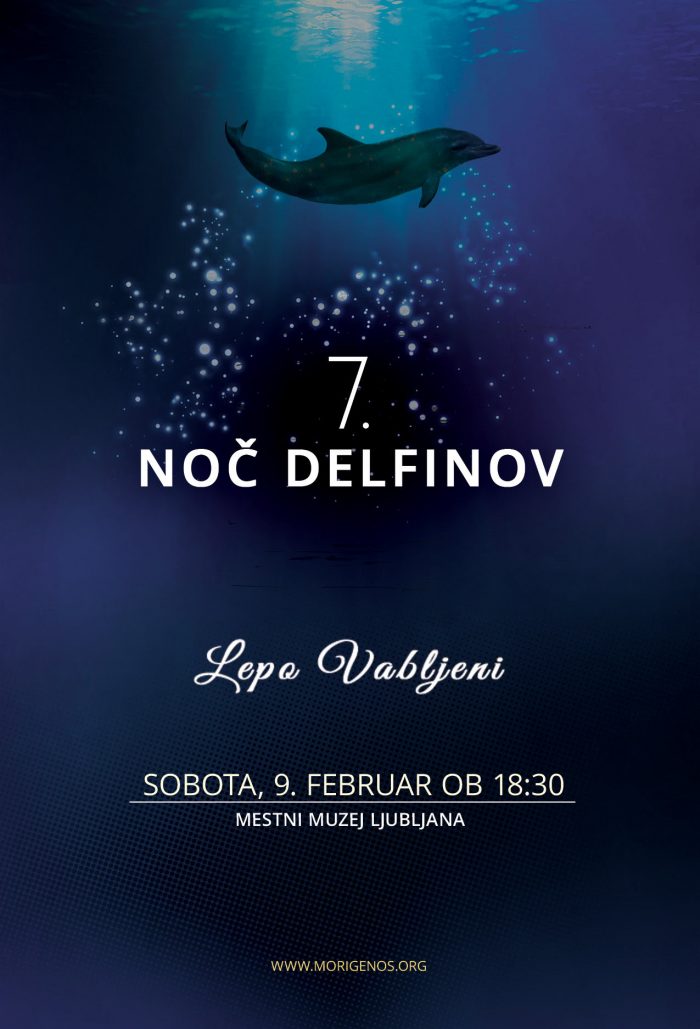 7noč delfinov (vir Morigenos)