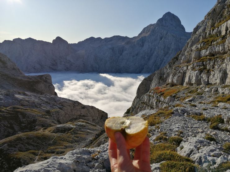 Bovški Gamsovec