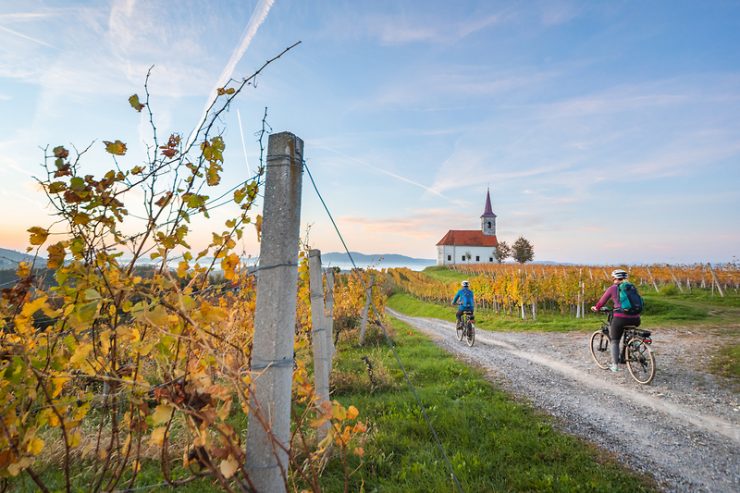 V zeleni shemi 4 destinacije napredovale k zlatemu znaku Slovenia Green Destination