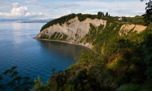 Jutri 10 brezplačnih vodenj v Istri - na potep po skritih kotičkih