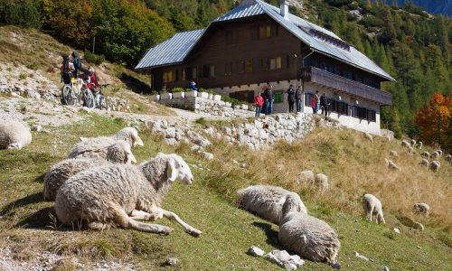 Gorske koče pred novo planinsko sezono ponujajo priložnost za delo