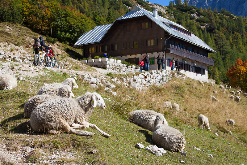 gorske koče